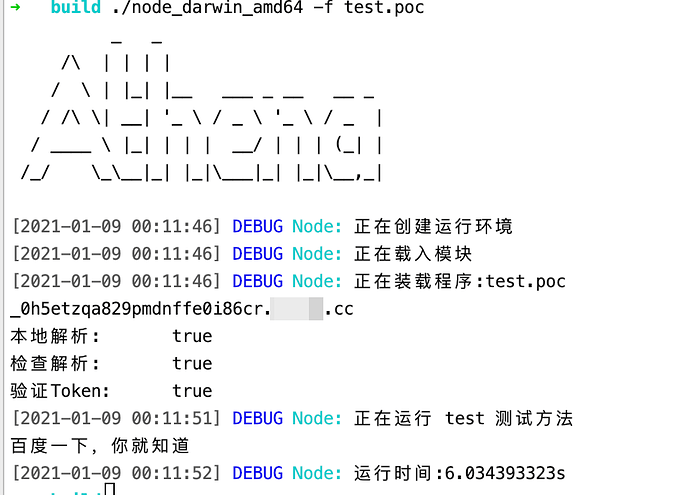 DNSLog验证